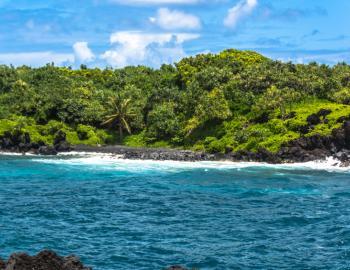Oneuli - Black Sand Beach (MAKENA)