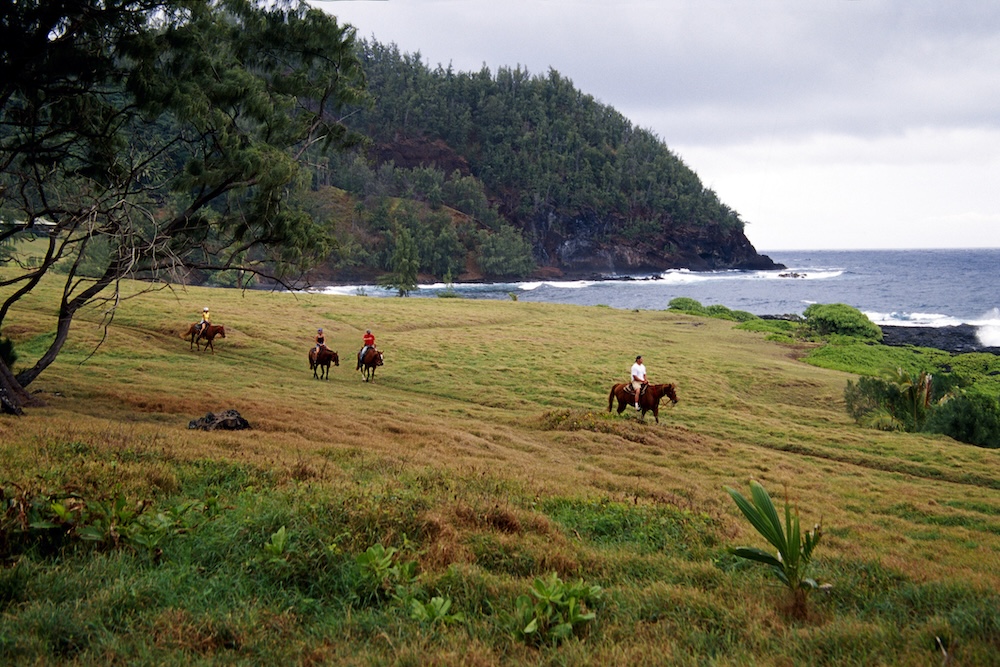 horseback riding maui